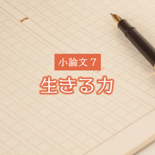 ジョーン デューイ 金山健一研究室